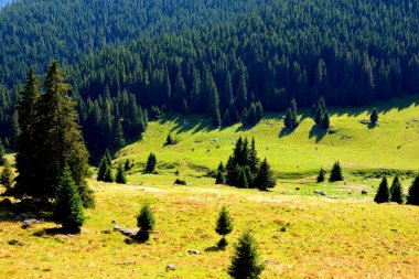 Büyük yapısal ve morfolojik karmaşıklığa sahip olan Bucegi Massif, güçlü kayalıklar tarafından desteklenen ve 1600-2500 metrede asılı duran doğal bir kale gibi görünüyor..