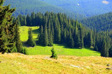 Büyük yapısal ve morfolojik karmaşıklığa sahip olan Bucegi Massif, güçlü kayalıklar tarafından desteklenen ve 1600-2500 metrede asılı duran doğal bir kale gibi görünüyor..