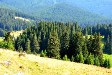 Büyük yapısal ve morfolojik karmaşıklığa sahip olan Bucegi Massif, güçlü kayalıklar tarafından desteklenen ve 1600-2500 metrede asılı duran doğal bir kale gibi görünüyor..