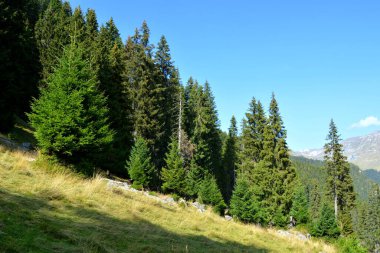 Büyük yapısal ve morfolojik karmaşıklığa sahip olan Bucegi Massif, güçlü kayalıklar tarafından desteklenen ve 1600-2500 metrede asılı duran doğal bir kale gibi görünüyor..