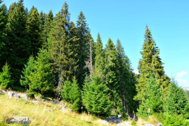 Büyük yapısal ve morfolojik karmaşıklığa sahip olan Bucegi Massif, güçlü kayalıklar tarafından desteklenen ve 1600-2500 metrede asılı duran doğal bir kale gibi görünüyor..