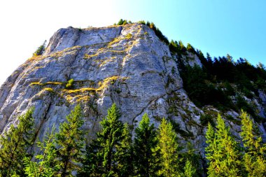 Büyük yapısal ve morfolojik karmaşıklığa sahip olan Bucegi Massif, güçlü kayalıklar tarafından desteklenen ve 1600-2500 metrede asılı duran doğal bir kale gibi görünüyor..