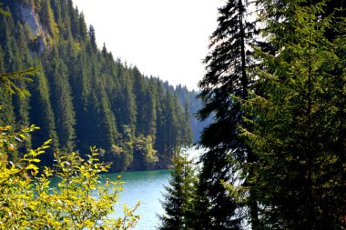 Bucegi Massif 'teki Bolboci Gölü, Carpathian Bend Dağları, Transilvanya, Romanya. Büyük yapısal ve morfolojik karmaşıklığa sahip olan Bucegi Massif, güçlü kayalıklarla desteklenen doğal bir kale gibi görünüyor..