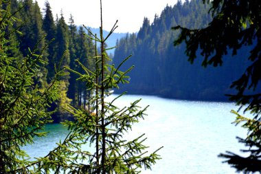 Bucegi Massif 'teki Bolboci Gölü, Carpathian Bend Dağları, Transilvanya, Romanya. Büyük yapısal ve morfolojik karmaşıklığa sahip olan Bucegi Massif, güçlü kayalıklarla desteklenen doğal bir kale gibi görünüyor..