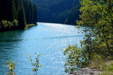 Bucegi Massif 'teki Bolboci Gölü, Carpathian Bend Dağları, Transilvanya, Romanya. Büyük yapısal ve morfolojik karmaşıklığa sahip olan Bucegi Massif, güçlü kayalıklarla desteklenen doğal bir kale gibi görünüyor..