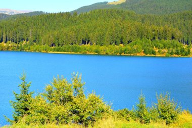 Bucegi Massif 'teki Bolboci Gölü, Carpathian Bend Dağları, Transilvanya, Romanya. Büyük yapısal ve morfolojik karmaşıklığa sahip olan Bucegi Massif, güçlü kayalıklarla desteklenen doğal bir kale gibi görünüyor..
