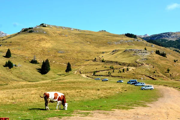 Bucegi Massif Carpathian Bend Dağları Transilvanya Romanya Büyük Bir Yapısal — Stok fotoğraf