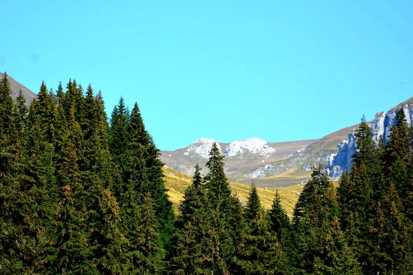 Bucegi Massif Carpathian Bend Dağları Transilvanya Romanya Büyük Bir Yapısal — Stok fotoğraf
