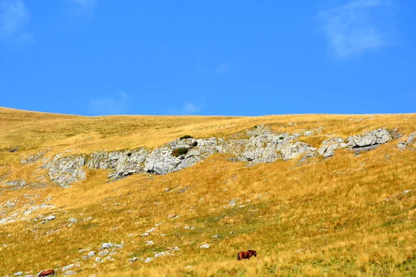 Maciço Bucegi Cárpatos Bend Mountains Transilvânia România Sendo Grande Complexidade — Fotografia de Stock