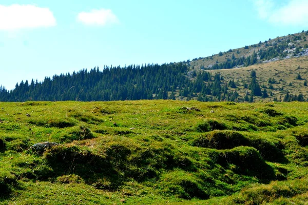 Maciço Bucegi Cárpatos Bend Mountains Transilvânia România Sendo Grande Complexidade — Fotografia de Stock