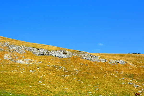 Macizo Bucegi Las Montañas Curva Los Cárpatos Transilvania Rumania Siendo —  Fotos de Stock