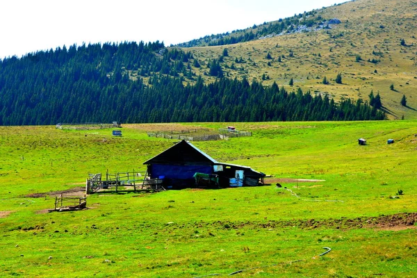 Bucegi Massiv Den Karpaten Siebenbürgen Rumänien Von Großer Struktureller Und — Stockfoto