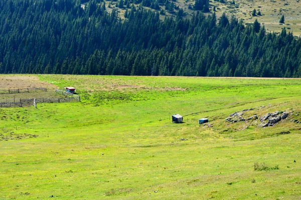 Bucegi Massif Kárpátok Kanyarban Erdélyben Romániában Nagy Szerkezeti Morfológiai Komplexitású — Stock Fotó