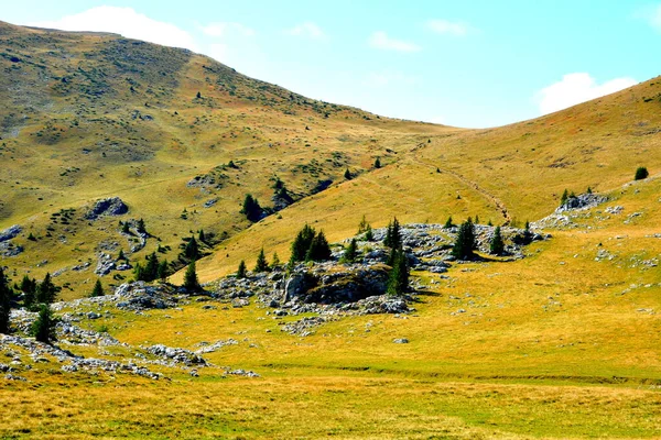 Bucegi Massif Karpatských Horách Transylvánie Romanie Bucegi Massif Velmi Konstrukčně — Stock fotografie