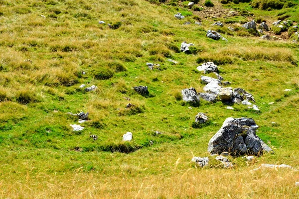 Sendo Grande Complexidade Estrutural Morfológica Maciço Bucegi Aparece Como Uma — Fotografia de Stock