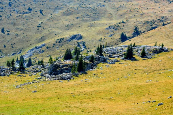 Bucegi Massif, in Karpaten Bend Mountains, Transsylvanië, Roemenië. — Stockfoto