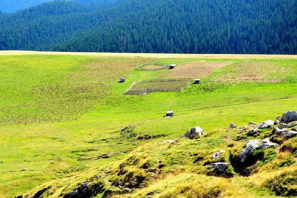Bucegi-Massiv, in den Karpaten, Siebenbürgen, Rumänien. — Stockfoto