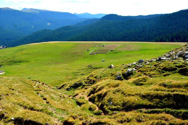 Bucegi Massif, в Карпатських схилах, Трансільванія, Румунія. — стокове фото