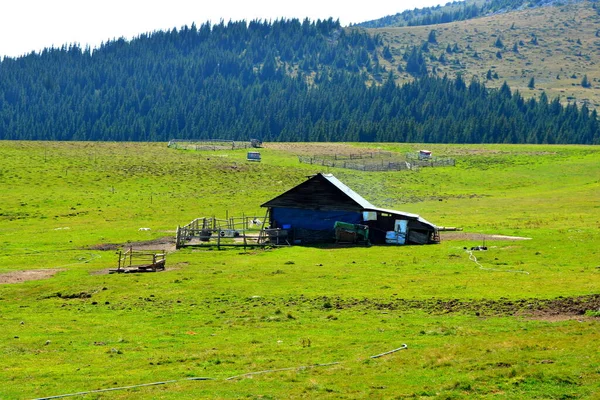 Von Großer Struktureller Und Morphologischer Komplexität Erscheint Das Bucegi Massiv — Stockfoto