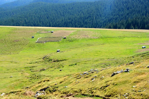 Von Großer Struktureller Und Morphologischer Komplexität Erscheint Das Bucegi Massiv — Stockfoto