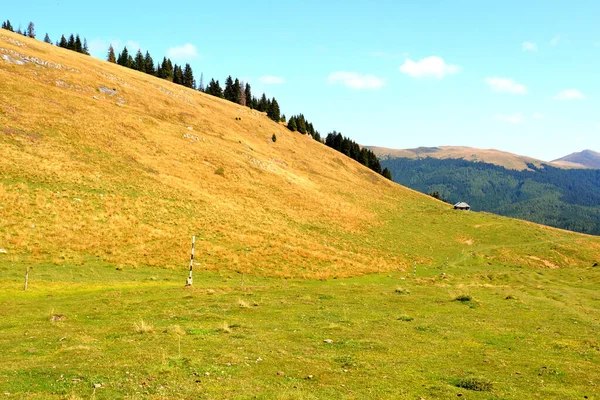 Büyük Yapısal Morfolojik Karmaşıklığa Sahip Olan Bucegi Massif Güçlü Kayalıklar — Stok fotoğraf