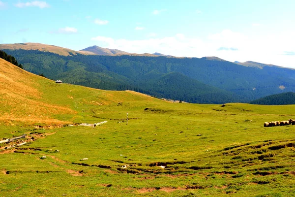 Being of great structural and morphological complexity, the Bucegi Massif appears as a natural fortress, with the enclosure suspended at 1600 - 2500 m, supported by strong cliffs.