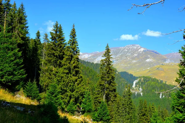 Büyük Yapısal Morfolojik Karmaşıklığa Sahip Olan Bucegi Massif Güçlü Kayalıklar — Stok fotoğraf