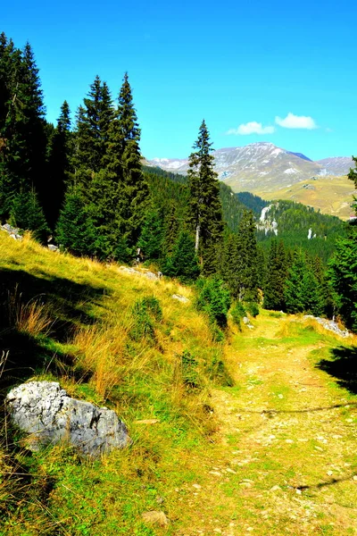 Being of great structural and morphological complexity, the Bucegi Massif appears as a natural fortress, with the enclosure suspended at 1600 - 2500 m, supported by strong cliffs.