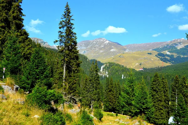 Büyük Yapısal Morfolojik Karmaşıklığa Sahip Olan Bucegi Massif Güçlü Kayalıklar — Stok fotoğraf