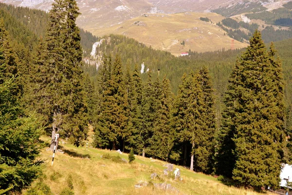 Бучеги Массив Карпатских Горах Изгиб Трансильвания Румыния Будучи Большой Структурной — стоковое фото