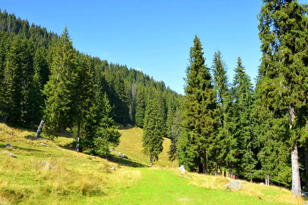 Büyük Yapısal Morfolojik Karmaşıklığa Sahip Olan Bucegi Massif Güçlü Kayalıklar — Stok fotoğraf