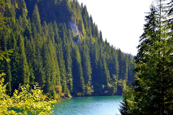 Bolboci Lake Bucegi Massif Carpathian Bend Mountains Transylvania Romania Being — Stock Photo, Image