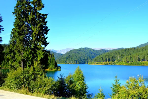 Lago Bolboci Bucegi Maciço Carpathian Bend Mountains Transilvânia Romênia Sendo — Fotografia de Stock