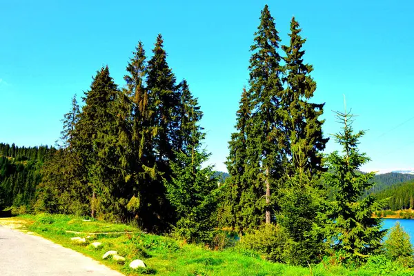 Massif Bucegi Dans Les Carpates Bend Mountains Transylvanie Roumanie Étant — Photo