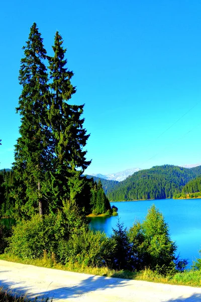 Bucegi Massif Teki Bolboci Gölü Carpathian Bend Dağları Transilvanya Romanya — Stok fotoğraf