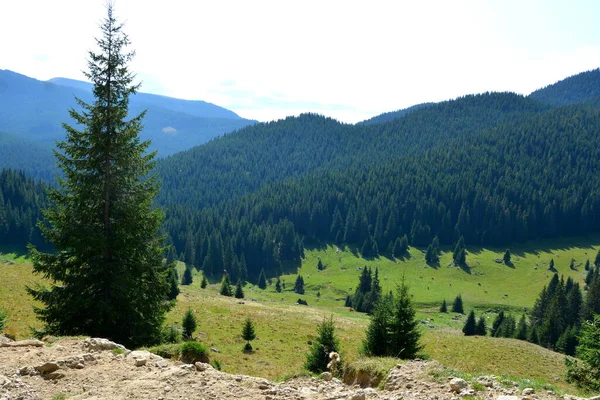 Massif Bucegi Dans Les Carpates Bend Mountains Transylvanie Roumanie Étant Images De Stock Libres De Droits