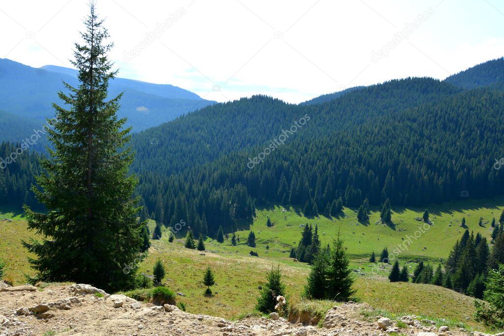 Bucegi Massif, in Carpathian Bend Mountains,  Transylvania, Romania.Being of great structural and morphological complexity, the Bucegi Massif appears as a natural fortress,  supported bng cliffs.
