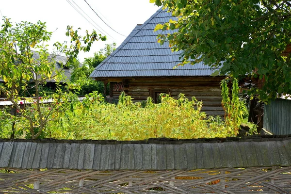 Cerkiew Drewniana Ieud Maramures Transylwania Rumunia — Zdjęcie stockowe