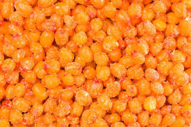 Donmuş deniz dikeni berry. Üst görünüm, düz döşeme, kopyalama alanı