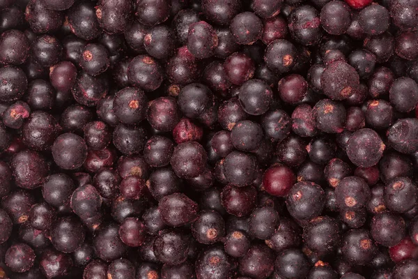 Mrożone jagody czarnej porzeczki, widok z góry, makro Obraz Stockowy