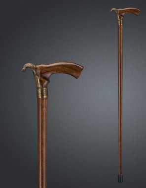 Kobra şeklinde baston ve koltuk değnekleriyle yürüyor. Yüksek kalite fotoğraf