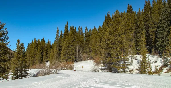 Snöskoterleder Nära Camp Hale Colorado Redo Att Användas Kall Vinterdag — Stockfoto