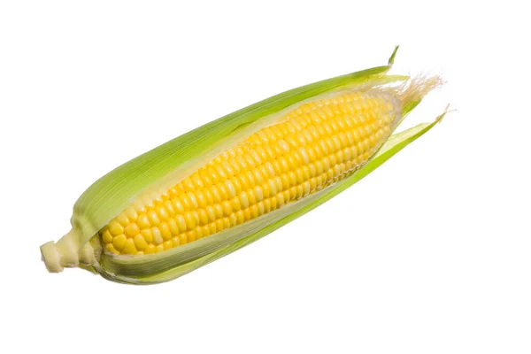 Fresh Corn Isolated White Background — Stock Photo, Image