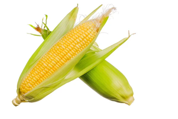 Świeża Kukurydza Odizolowana Białym Tle — Zdjęcie stockowe