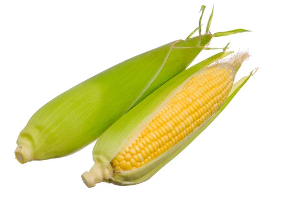 Fresh Corn Isolated White Background — Stock Photo, Image