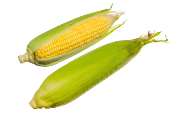 Fresh Corn Isolated White Background — Stock Photo, Image