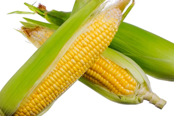 Friss Kukorica Izolált Fehér Alapon — Stock Fotó