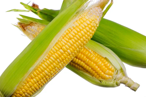 Fresh Corn Isolated White Background — Stock Photo, Image