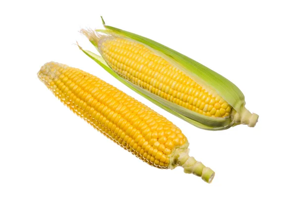 Свіжа Кукурудза Ізольована Білому Фоні — стокове фото