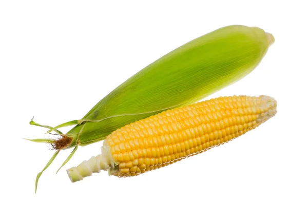 Fresh Corn Isolated White Background — Stock Photo, Image